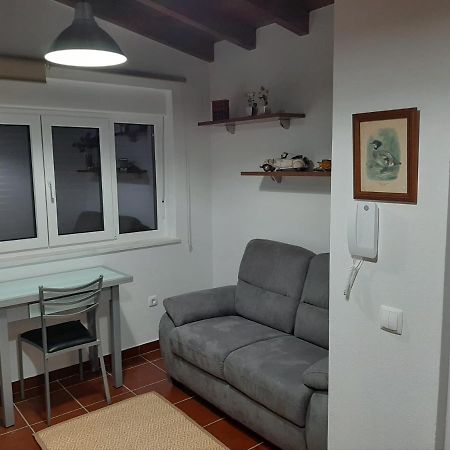 Alojamento Ferreira - Apartamento C Daire Santiago do Cacém Dış mekan fotoğraf